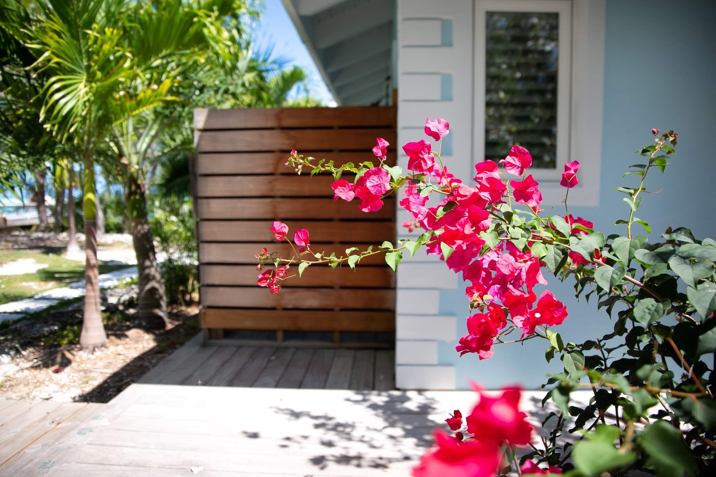 bahari house entrance flower